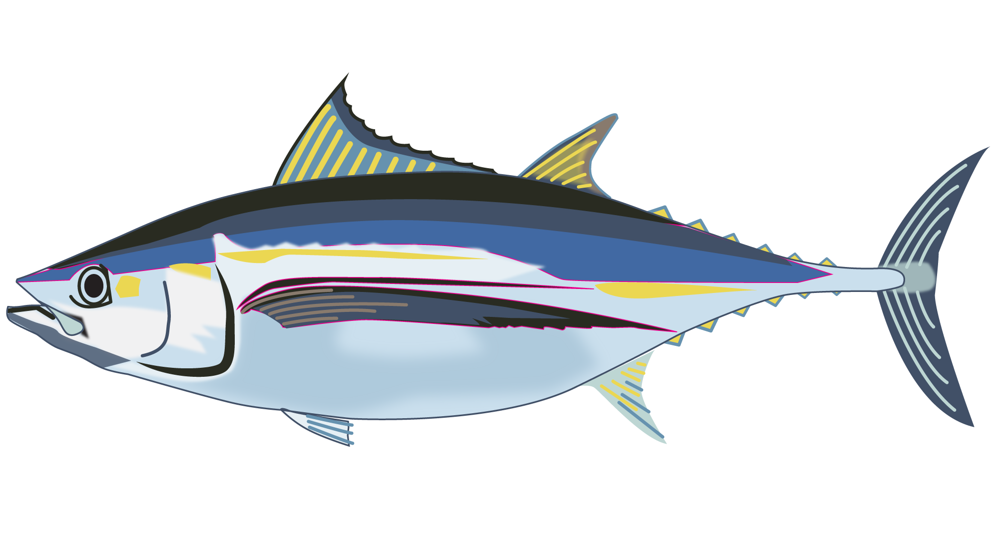 sea tuna